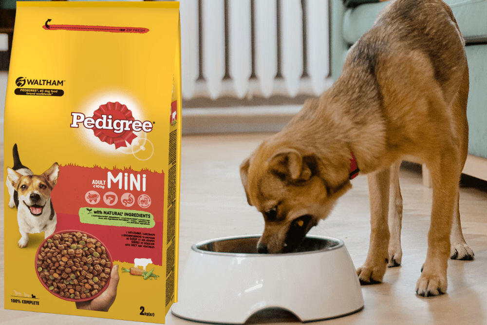 Karma dla psa PEDIGREE Wołowina 12 kg dawkowanie analiza sklad