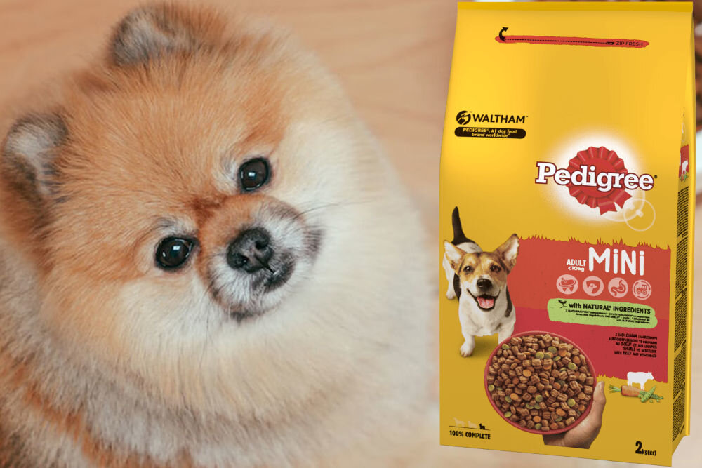 Karma dla psa PEDIGREE Wołowina 12 kg witaminy pierwiastki aminokwasy