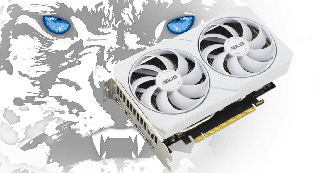 Karta graficzna ASUS White GeForce RTX 3060 Dual OC 8GB - Karta graficzna   
