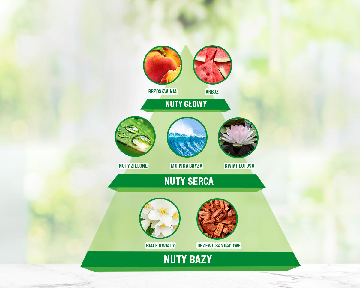Wkład do elektrycznego odświeżacza powietrza AIR WICK Morska Mgiełka i Błękitne Minerały 19 ml piramida zapachowa