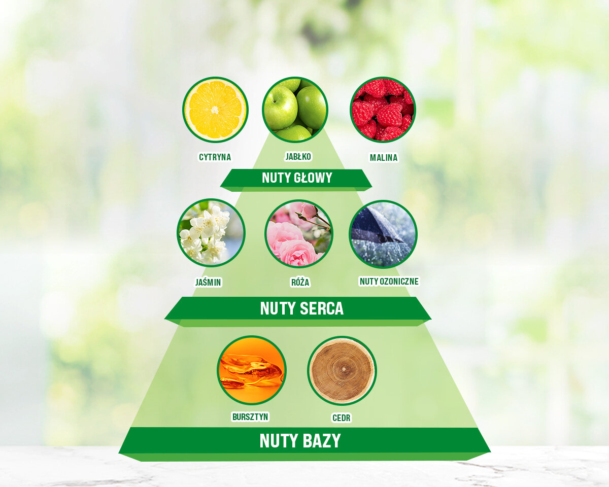 Wkład do elektrycznego odświeżacza powietrza AIR WICK Świeże Maliny i Kwitnące Cytrusy 19 ml piramida zapachowa