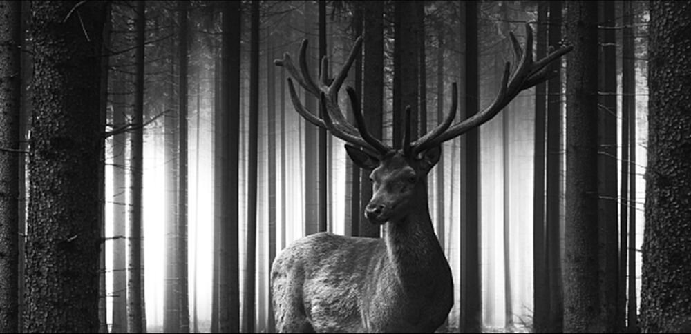 Smartfon DOOGEE S99   ekran bateria aparat procesor ram pamięć pojemność rozdzielczość zdjęcia filmy opis dane cechy blokady system łączność wifi bluetooth obudowa szkło odporność porty muzyka transfer sieć przekątna matryca waga czujniki oled amoled ips