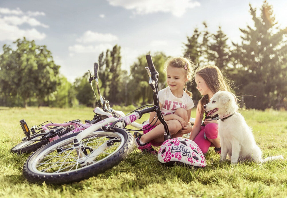 Rower młodzieżowy KELLYS Lumi 50 20 cali dla chłopca Zielony 2-letnia gwarancja na ramę najwyższa część najwyższej jakości w zielonym kolorze z żółtymi akcentami