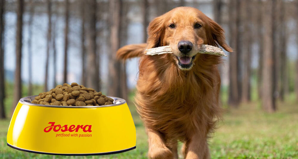Karma dla psa JOSERA JosiDog Regular Drób 900 g naturalne składniki wielkość krokietów