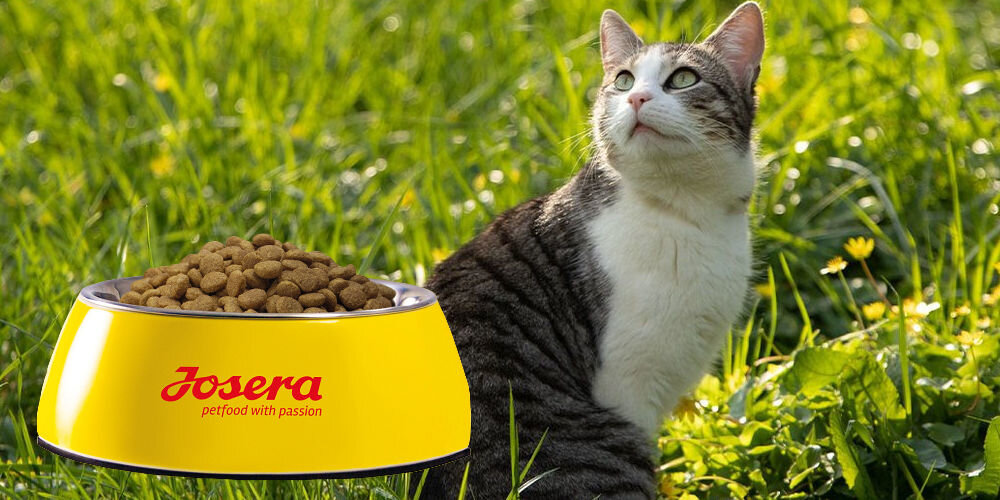 Karma dla kota JOSICAT Crispy Duck Kaczka 10 kg naturalne składniki wielkość krokietów