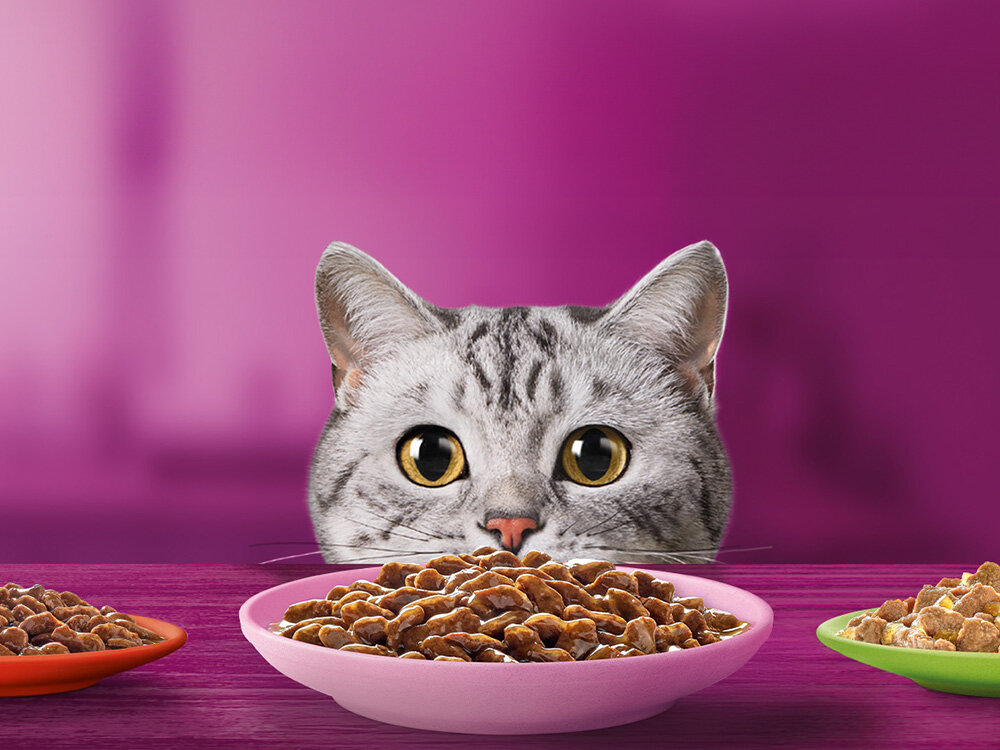 Karma dla kota WHISKAS Pure Delight Junior Drób (12 x 85 g) Pyszne jedzenie i jeszcze więcej mruczenia