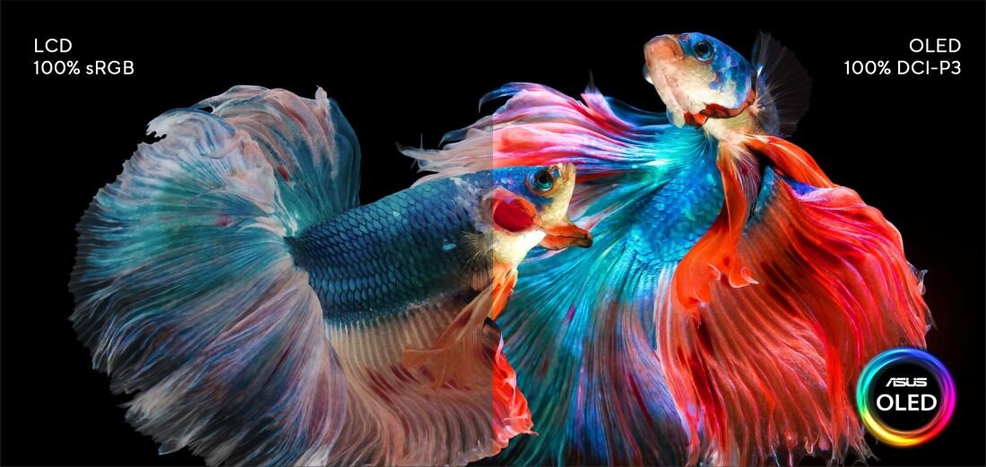 Laptop ASUS ZenBook UM3402 - ASUS OLED