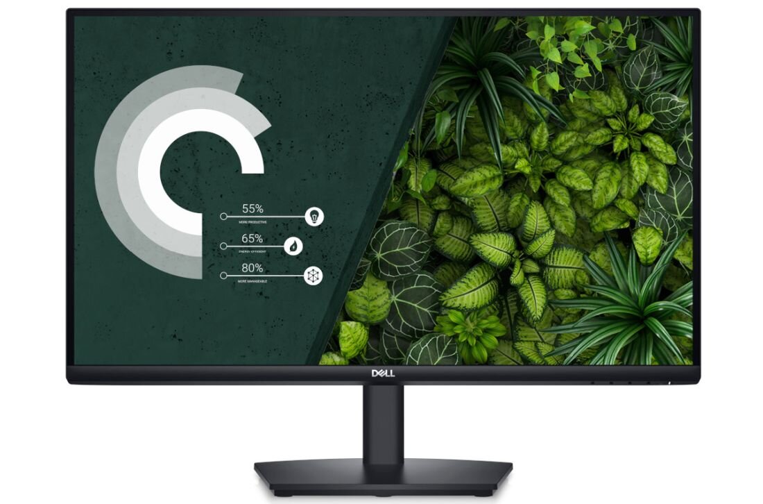 Monitor DELL E2424HS - Monitor 