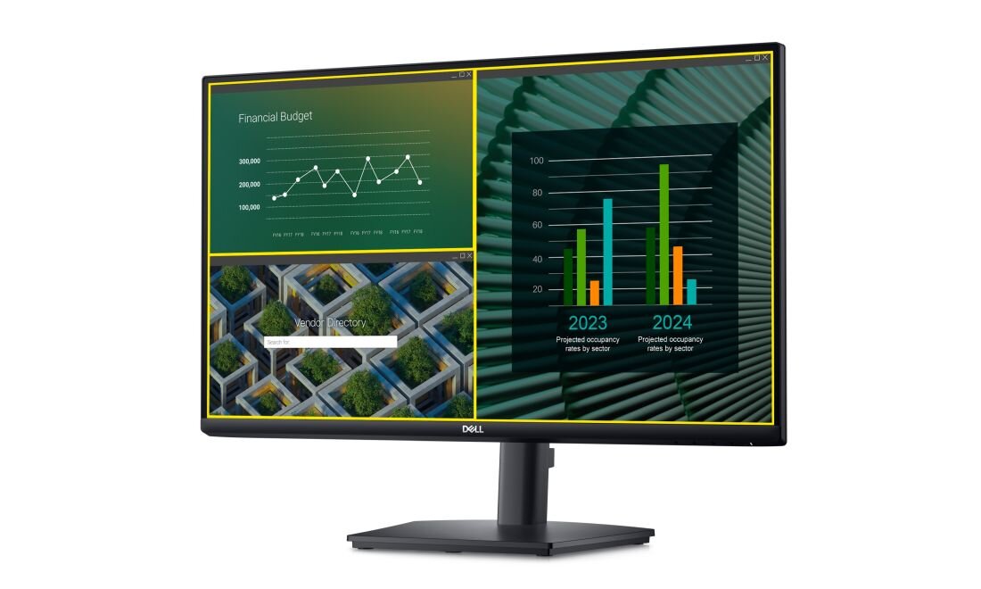 Monitor DELL E2424HS - Dell Display Manager 