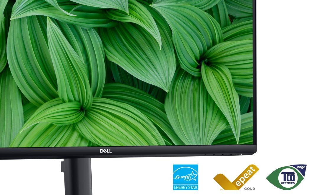 Monitor DELL E2424HS - PowerNap 