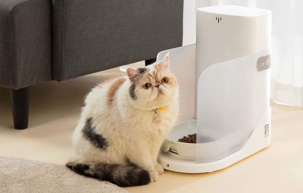 Dozownik karmy automatyczny CATLINK CL-F-01 biały podajnik karma w misce obok siedzi kot dedykowana aplikacja ustawienie planu posiłków monitorowanie zdrowia kota specjalny kołnierz Wi-fi sprawdzenie aktualnego stanu diety odpowiednio zbilansowana dieta
