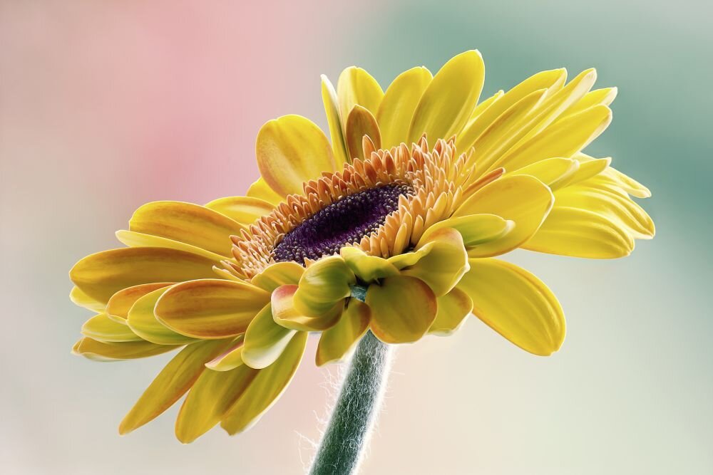 Smartfon ZTE Blade V40   ekran bateria aparat procesor ram pamięć pojemność rozdzielczość zdjęcia filmy opis dane cechy blokady system łączność wifi bluetooth obudowa szkło odporność porty muzyka transfer sieć przekątna matryca waga czujniki oled amoled ips