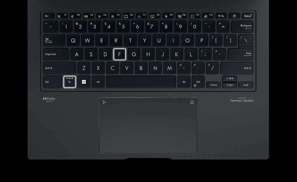 Laptop ASUS ZenBook 14X - Whisper
