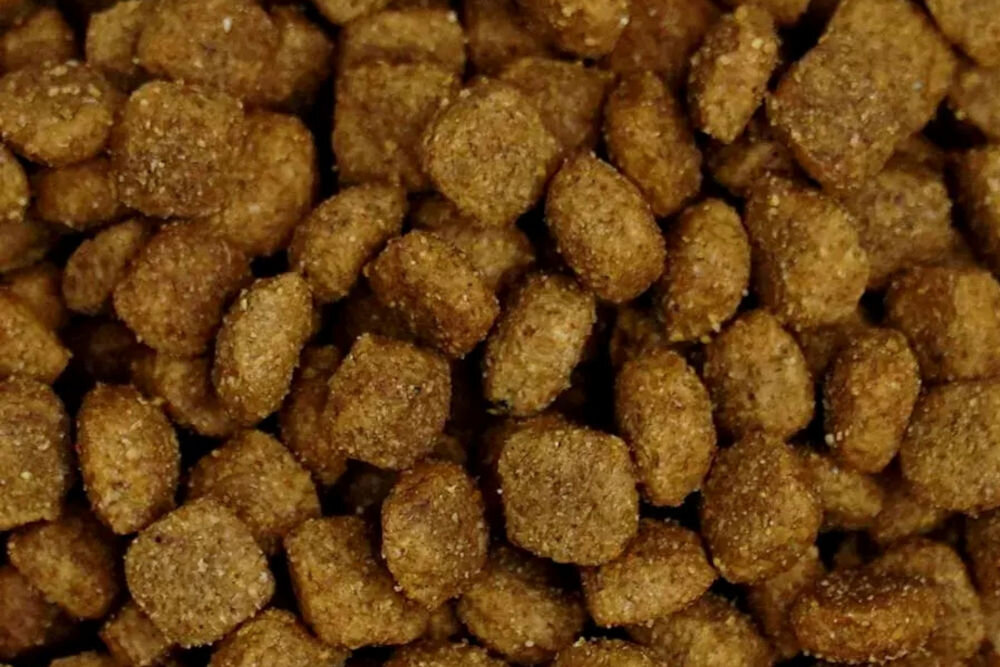 Karma dla psa BIOFEED VitalFit sucha z wołowiną 15 kg naturalne składniki