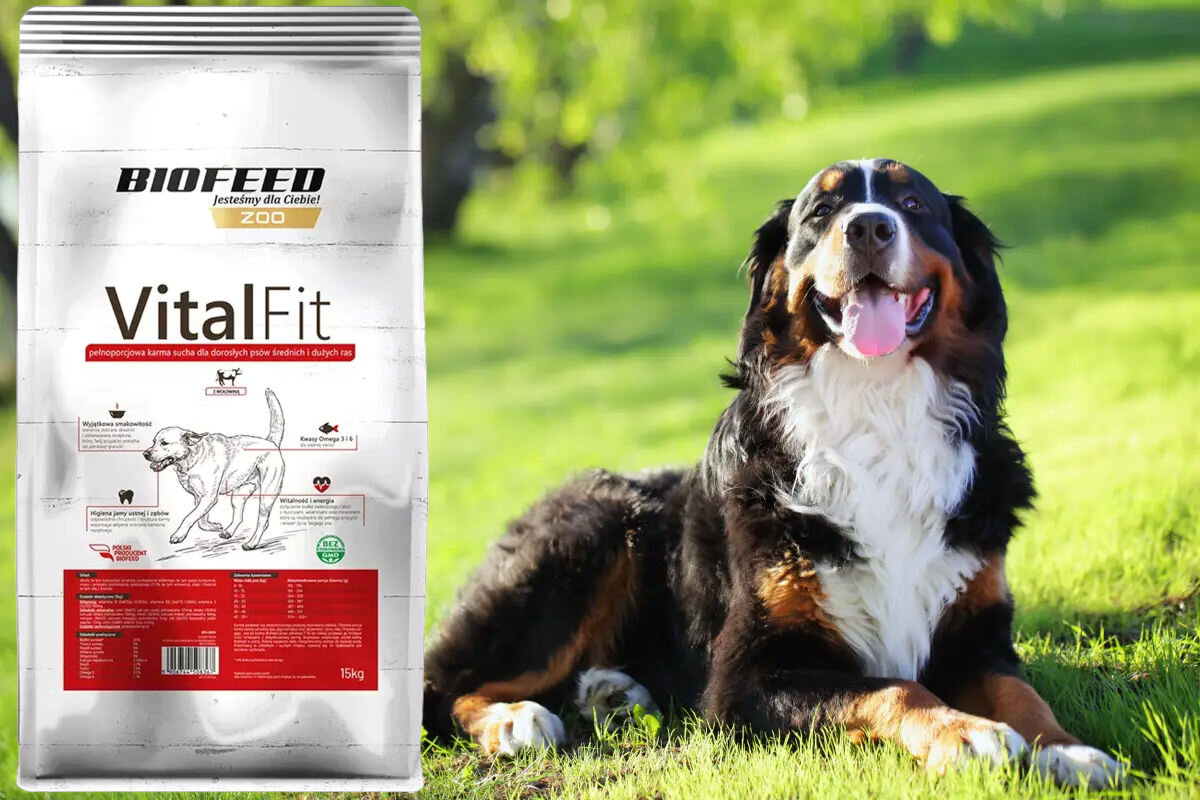 Karma dla psa BIOFEED VitalFit sucha z wołowiną 15 kg dawkowanie analiza sklad