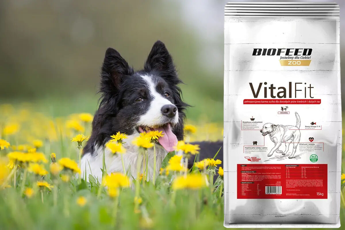Karma dla psa BIOFEED VitalFit sucha z wołowiną 15 kg dawkowanie analiza sklad