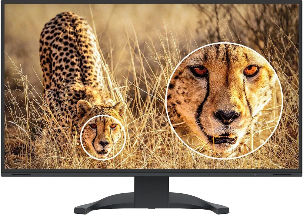 Monitor EIZO FlexScan EV3240X-BK Przód monitora wyświetlającego zdjęcie geparda w wysokiej rozdzielczości. W prawej części obrazu znajduje się powiększenie głowy geparda ukazujące szczegóły, czas reakcji, odświeżanie, czytelność