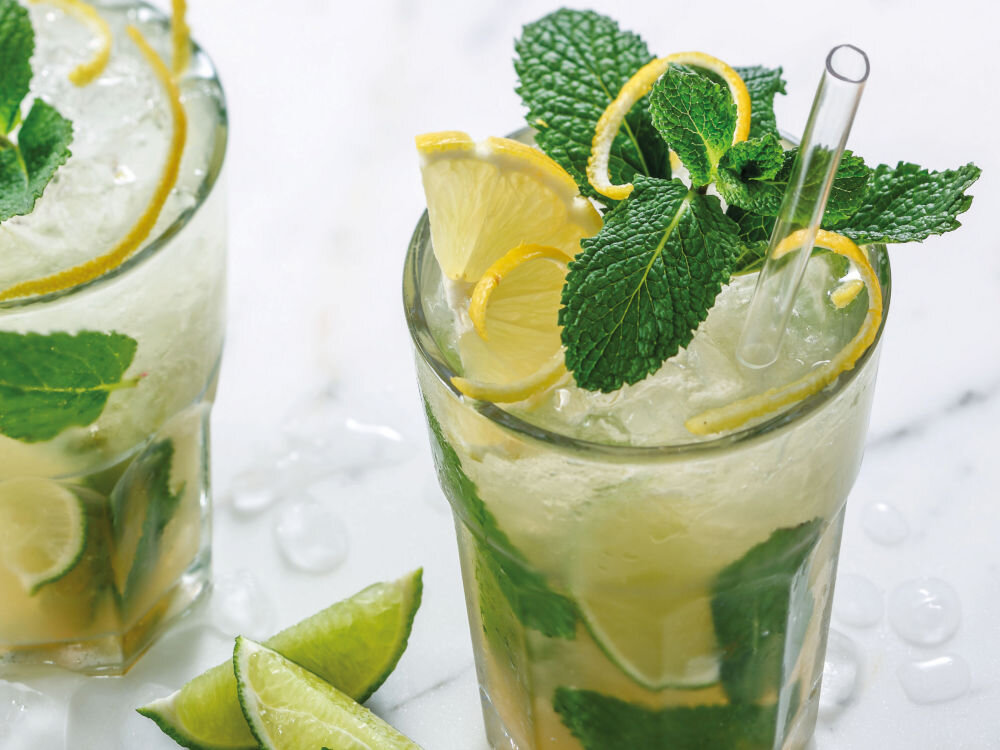 Syrop do lemoniady MONIN Mojito Mint 250 ml połączenia inspiracje
