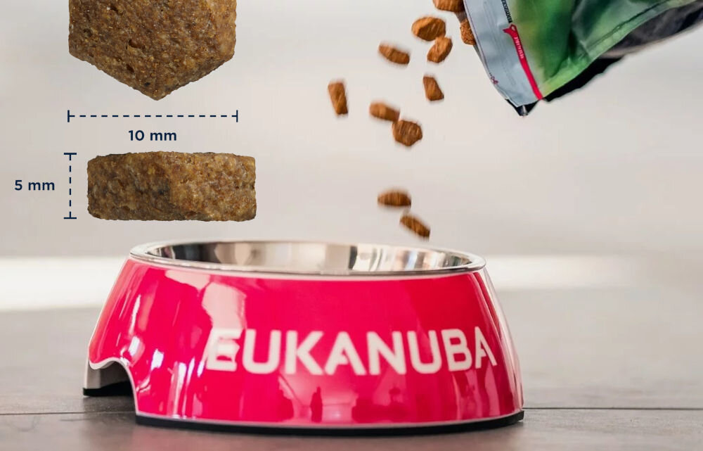 Karma dla psa EUKANUBA Puppy Small & Medium Breeds Jagnięcina z ryżem 12 kg naturalne składniki