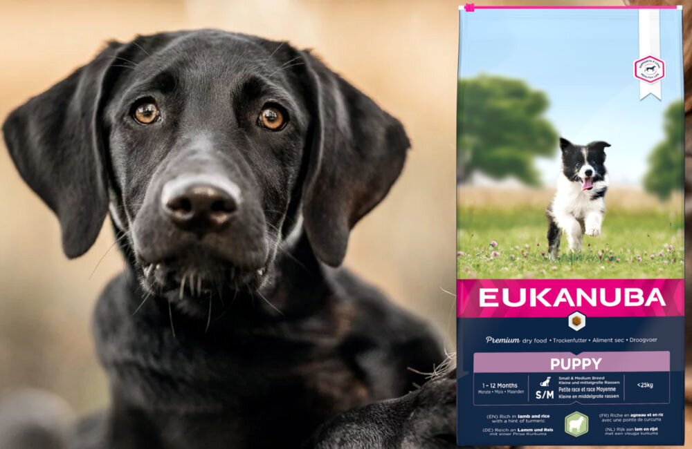 Karma dla psa EUKANUBA Puppy Small & Medium Breeds Jagnięcina z ryżem 12 kg dawkowanie analiza sklad