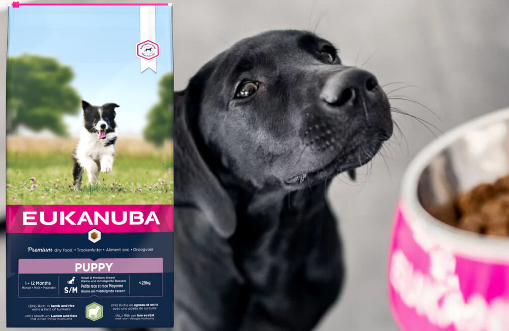 Karma dla psa EUKANUBA Puppy Small & Medium Breeds Jagnięcina z ryżem 12 kg dawkowanie analiza sklad