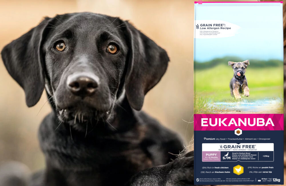 Karma dla psa EUKANUBA Grain Free Puppy Medium Breeds Kurczak 12 kg dawkowanie analiza sklad
