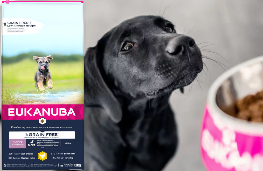 Karma dla psa EUKANUBA Grain Free Puppy Medium Breeds Kurczak 12 kg dawkowanie analiza sklad
