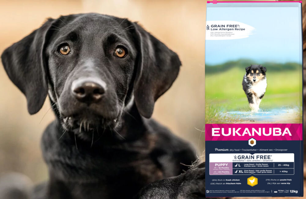 Karma dla psa EUKANUBA Grain Free Puppy Large Breeds Kurczak 12 kg dawkowanie analiza sklad