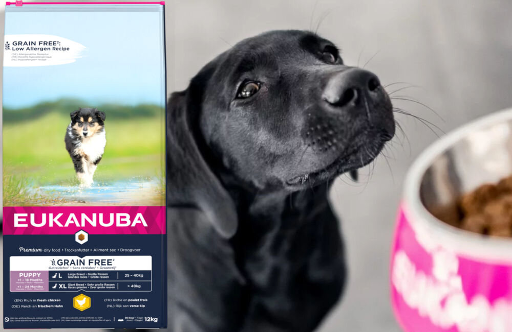 Karma dla psa EUKANUBA Grain Free Puppy Large Breeds Kurczak 12 kg dawkowanie analiza sklad