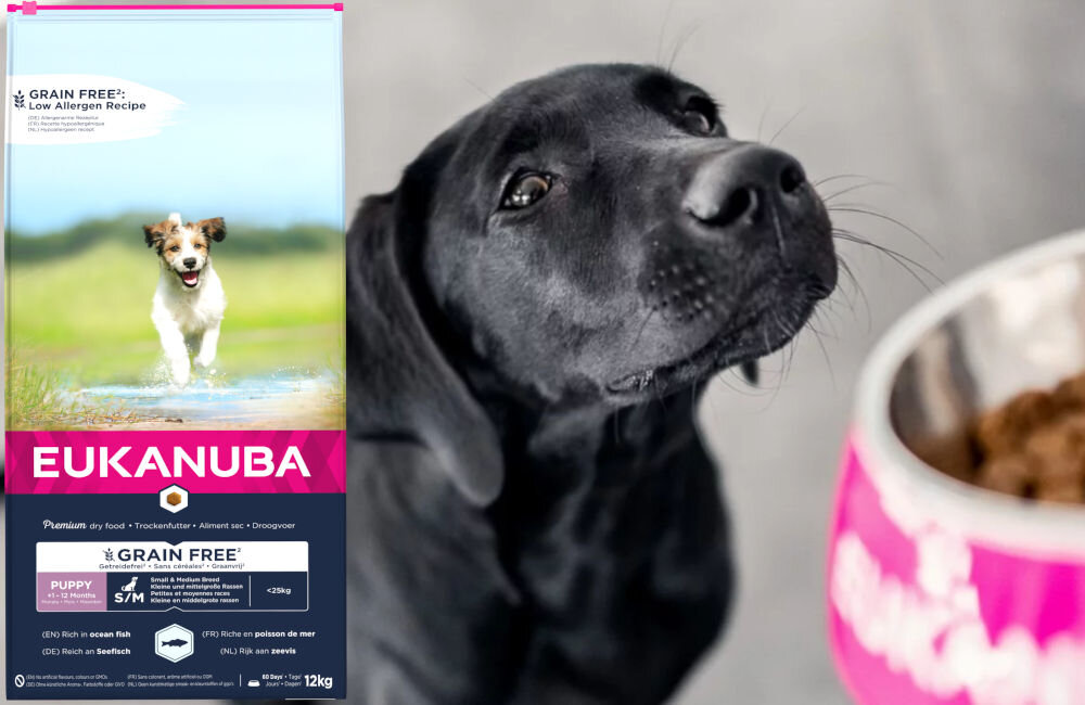 Karma dla psa EUKANUBA Puppy Large Breeds Ryby Oceaniczne 12 kg dawkowanie analiza sklad