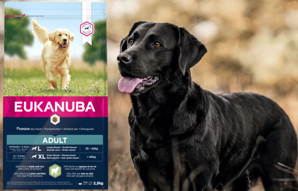Karma dla psa EUKANUBA Adult Large Breeds Adult Jagnięcina z ryżem 2,5 kg dawkowanie analiza sklad