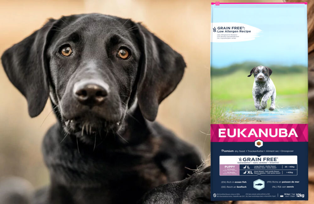 Karma dla psa EUKANUBA Grain Free Puppy Large Breeds Ryba Oceaniczna 12 kg dawkowanie analiza sklad