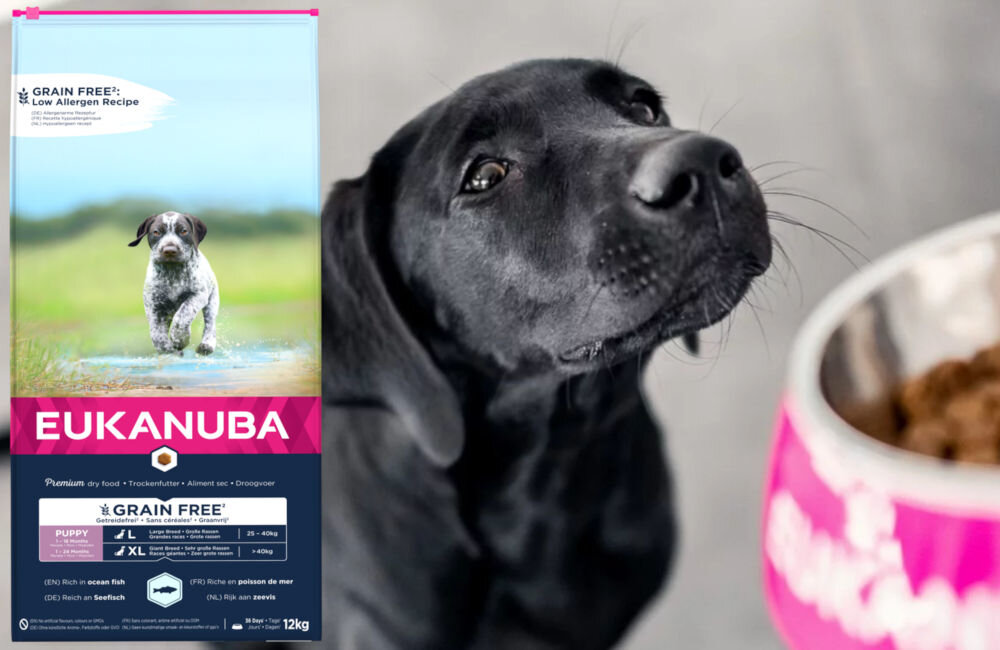 Karma dla psa EUKANUBA Grain Free Puppy Large Breeds Ryba Oceaniczna 12 kg dawkowanie analiza sklad
