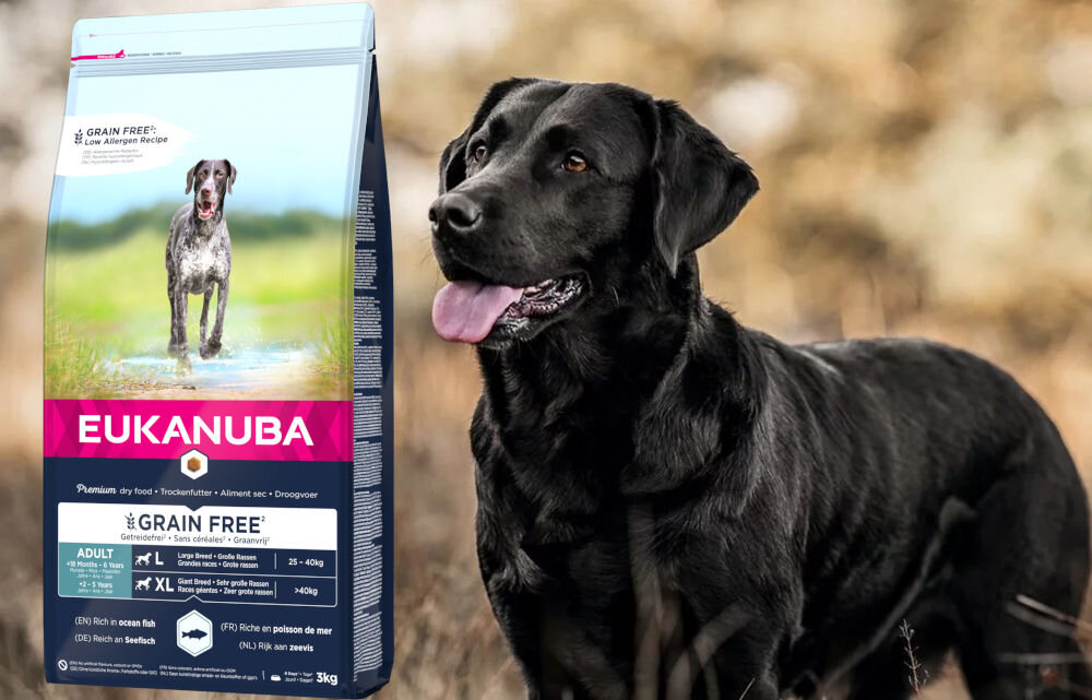 Karma dla psa EUKANUBA Adult Large Breeds Ryby Oceaniczne 3 kg dawkowanie analiza sklad