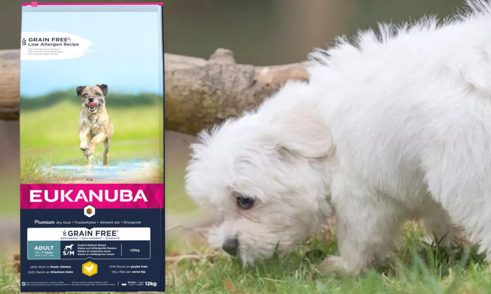 Karma dla psa EUKANUBA Adult Small Medium Kurczak 12 kg dawkowanie analiza sklad