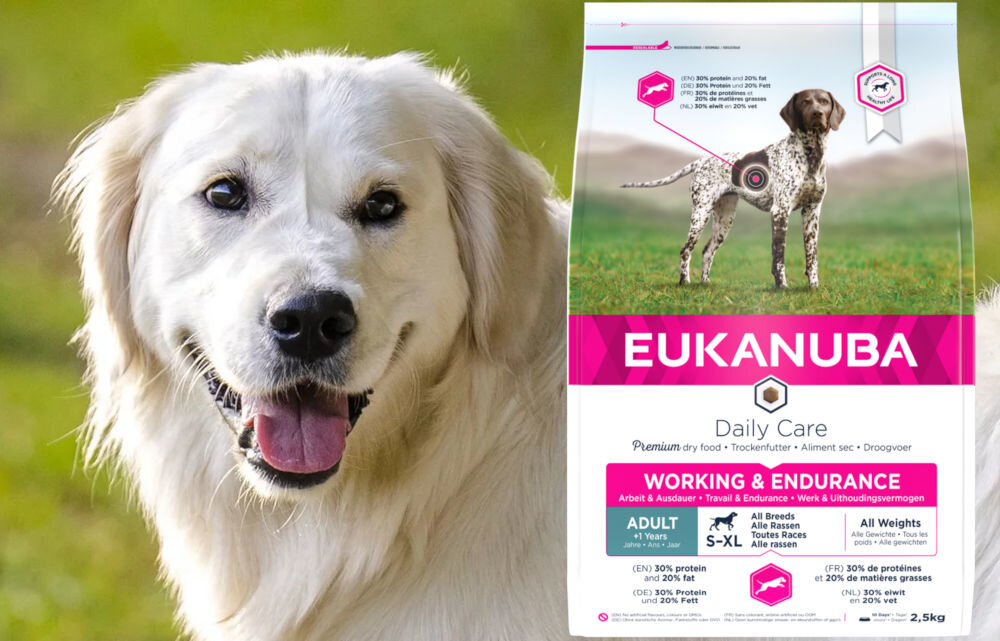 Karma dla psa EUKANUBA Daily Care Working & Endurance Kurczak 2,5 kg dawkowanie analiza sklad