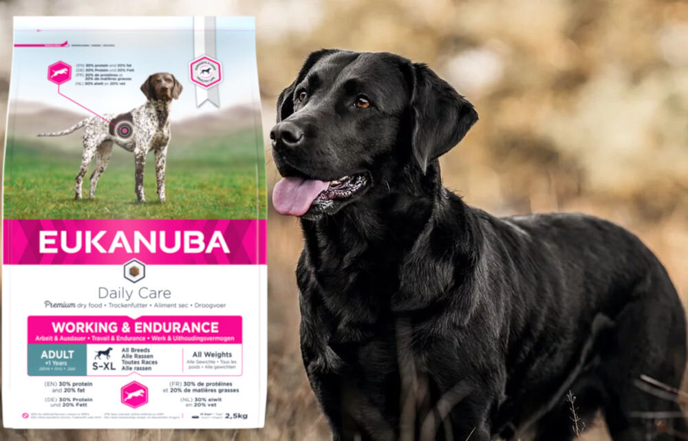 Karma dla psa EUKANUBA Daily Care Working & Endurance Kurczak 2,5 kg dawkowanie analiza sklad