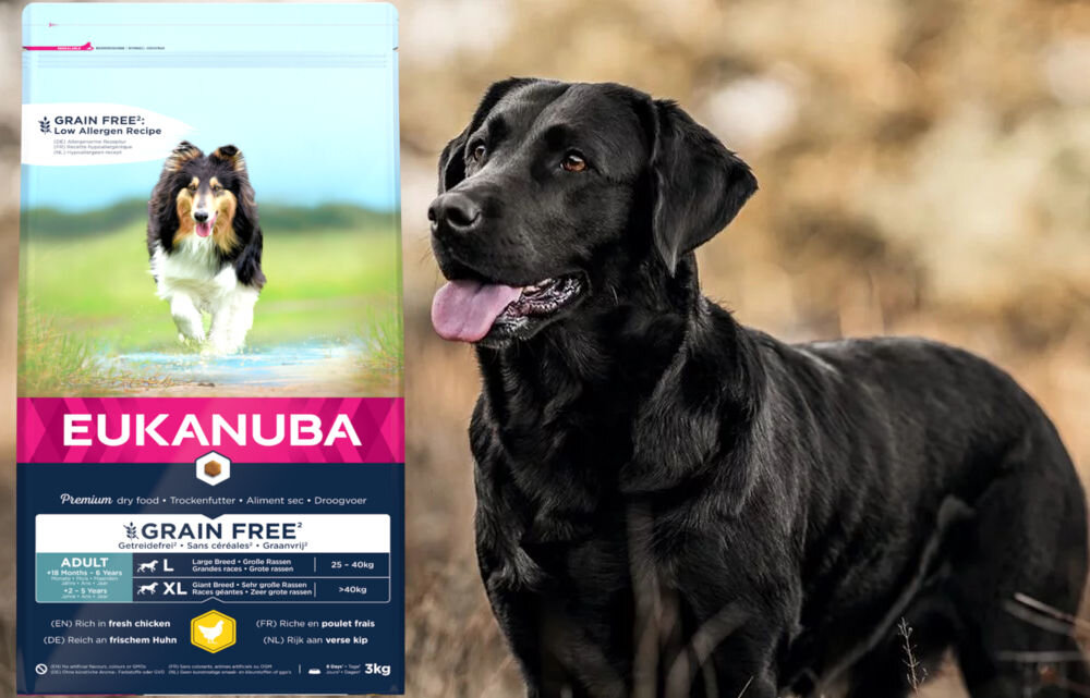 Karma dla psa EUKANUBA Adult Large Breeds Kurczak 3 kg dawkowanie analiza sklad