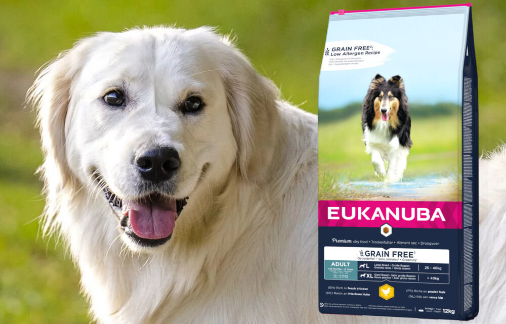 Karma dla psa EUKANUBA Adult Large Breeds Kurczak 12 kg dawkowanie analiza sklad