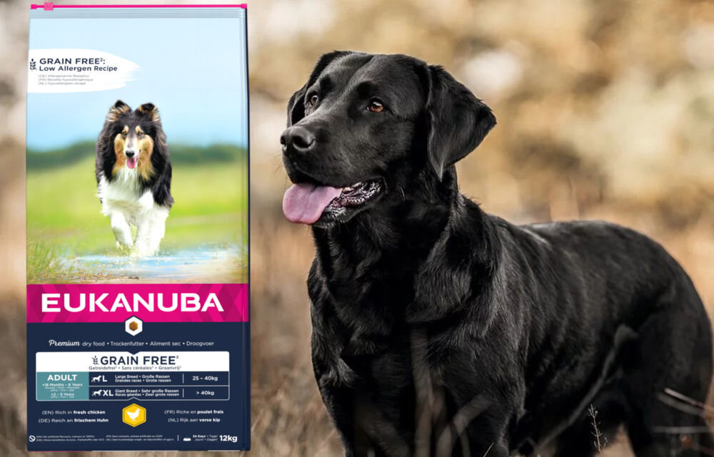 Karma dla psa EUKANUBA Adult Large Breeds Kurczak 12 kg dawkowanie analiza sklad