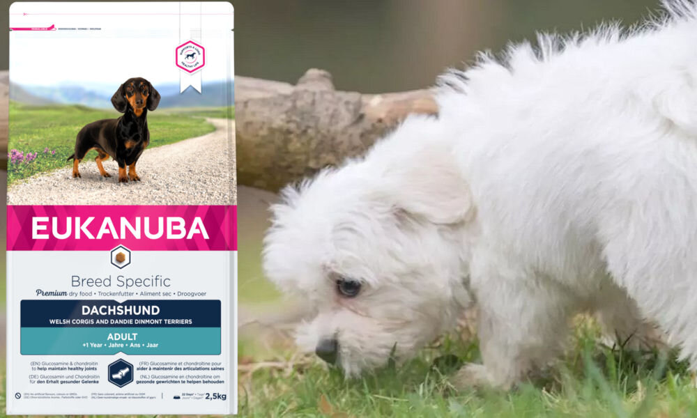 Karma dla psa EUKANUBA Adult Breed Specific Kurczak 2,5 kg dawkowanie analiza sklad