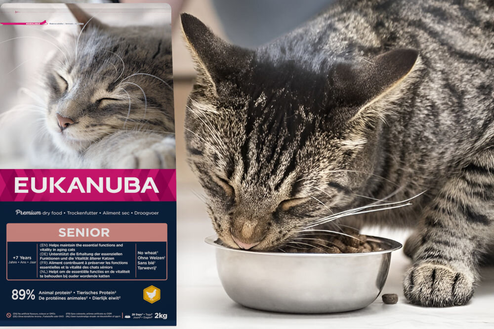 Karma dla kota EUKANUBA Dla Starszych Kotów Kurczak 2 kg dawkowanie analiza sklad