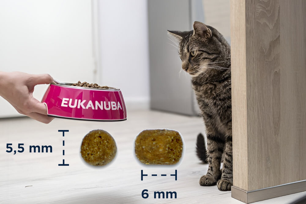Karma dla kota EUKANUBA Dla Rosnących Kociąt Kurczak 10 kg naturalne składniki wielkość krokietów