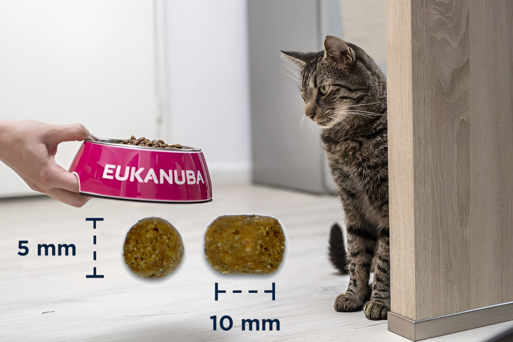 Karma dla kota EUKANUBA Kurczak 10 kg naturalne składniki wielkość krokietów