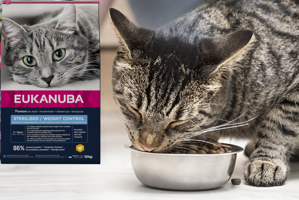 Karma dla kota EUKANUBA Kurczak 10 kg dawkowanie analiza sklad