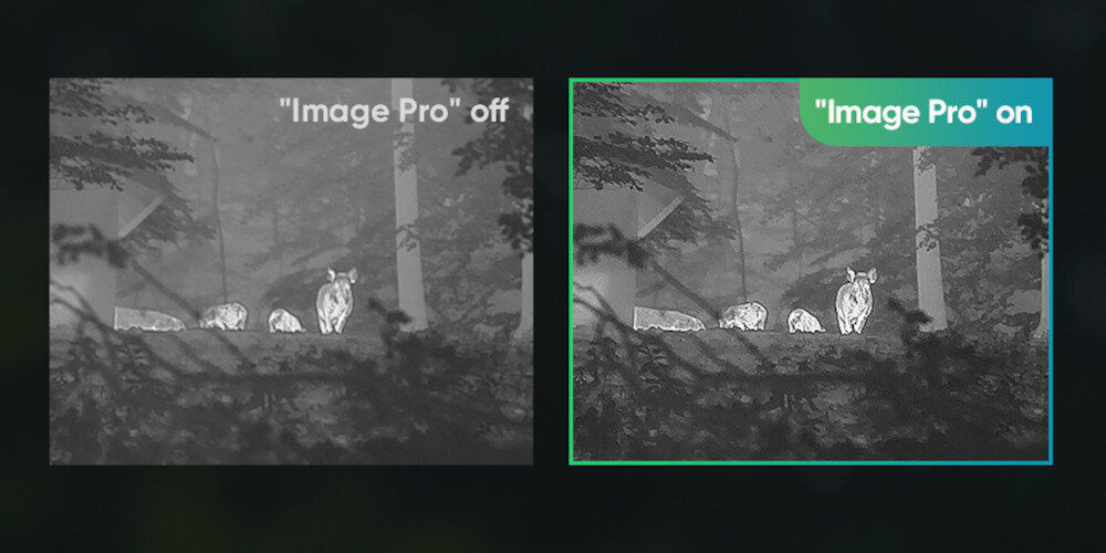 Monokular HIKMICRO Falcon FQ50 obiektyw parametry wyświetlacz pole widzenia algorytm jakość