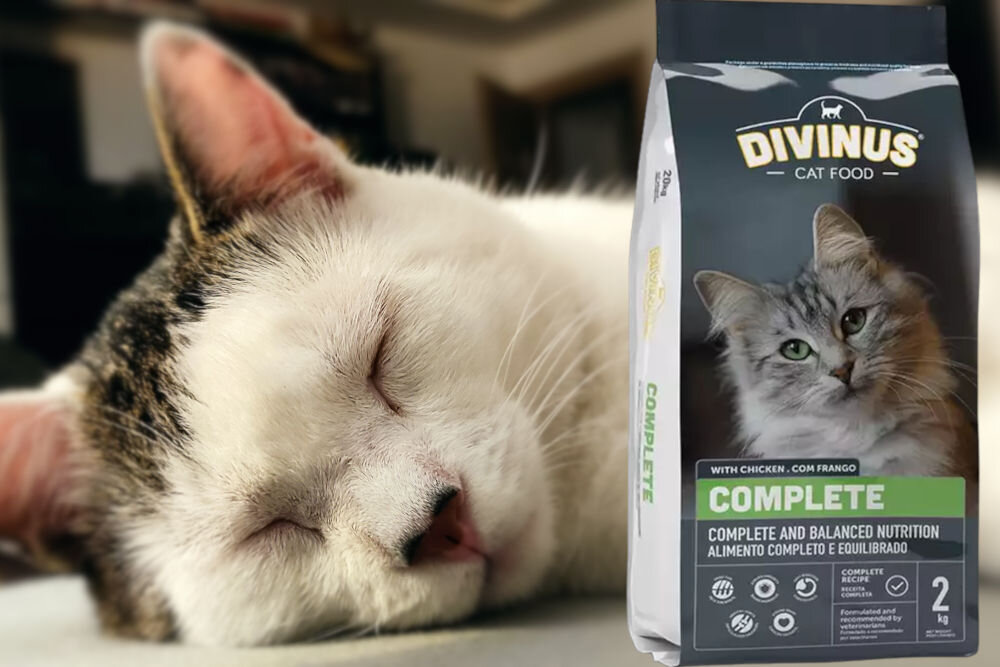 Karma dla kota DIVINUS Cat Complete Kurczak 2 kg dawkowanie analiza sklad