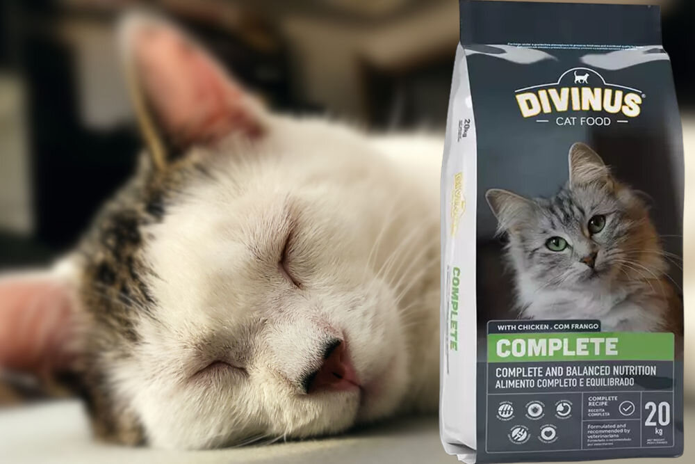 Karma dla kota DIVINUS Cat Complete Kurczak 2 kg dawkowanie analiza sklad