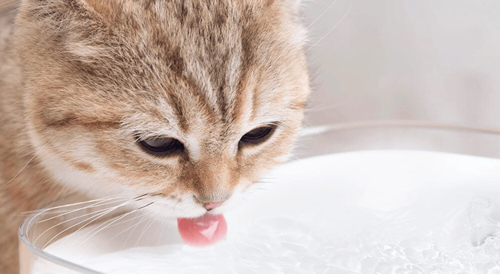 Poidło XIAOMI Smart Pet Fountain XWWF01MG-EU zdrowie zwierzak imituje górki potok natlenienie