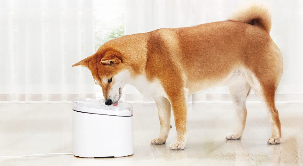 Poidło XIAOMI Smart Pet Fountain XWWF01MG-EU jakość Bezpieczeństwo pojemność zbiornik